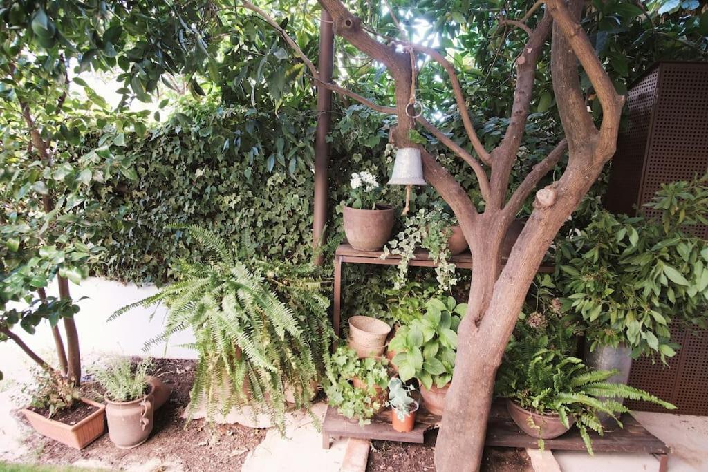 La Casa Del Jardin Holiday home *